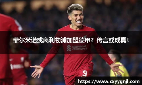 菲尔米诺或离利物浦加盟德甲？传言或成真！
